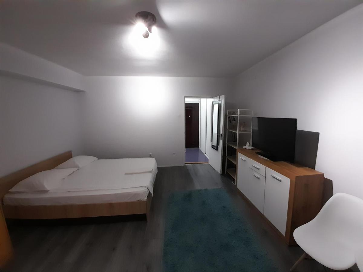 Bega Circumvalatiunii 1 Room Apartment Timisoara Bagian luar foto